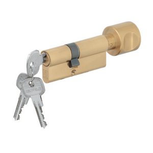 Ruột khóa vàng Hafele 916.96.666
