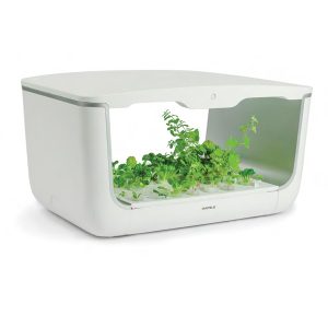 hộp trồng cây hafele home box (H-box) 539.76.990